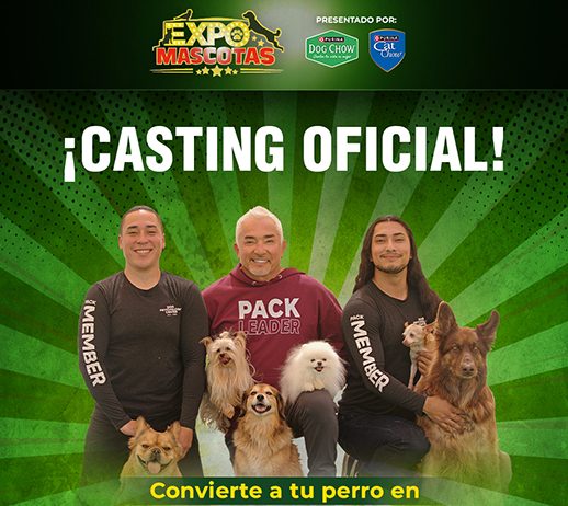 Expo Mascotas 2026: ¡Cesar Millán abre Casting Oficial!