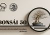 BONSÁI 50: Arte ancestral y vanguardia tecnológica se conjugan en el CCAM