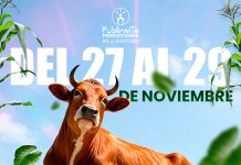 La Expoferia Ganadera y Agrícola 2026 llega a Caracas en noviembre